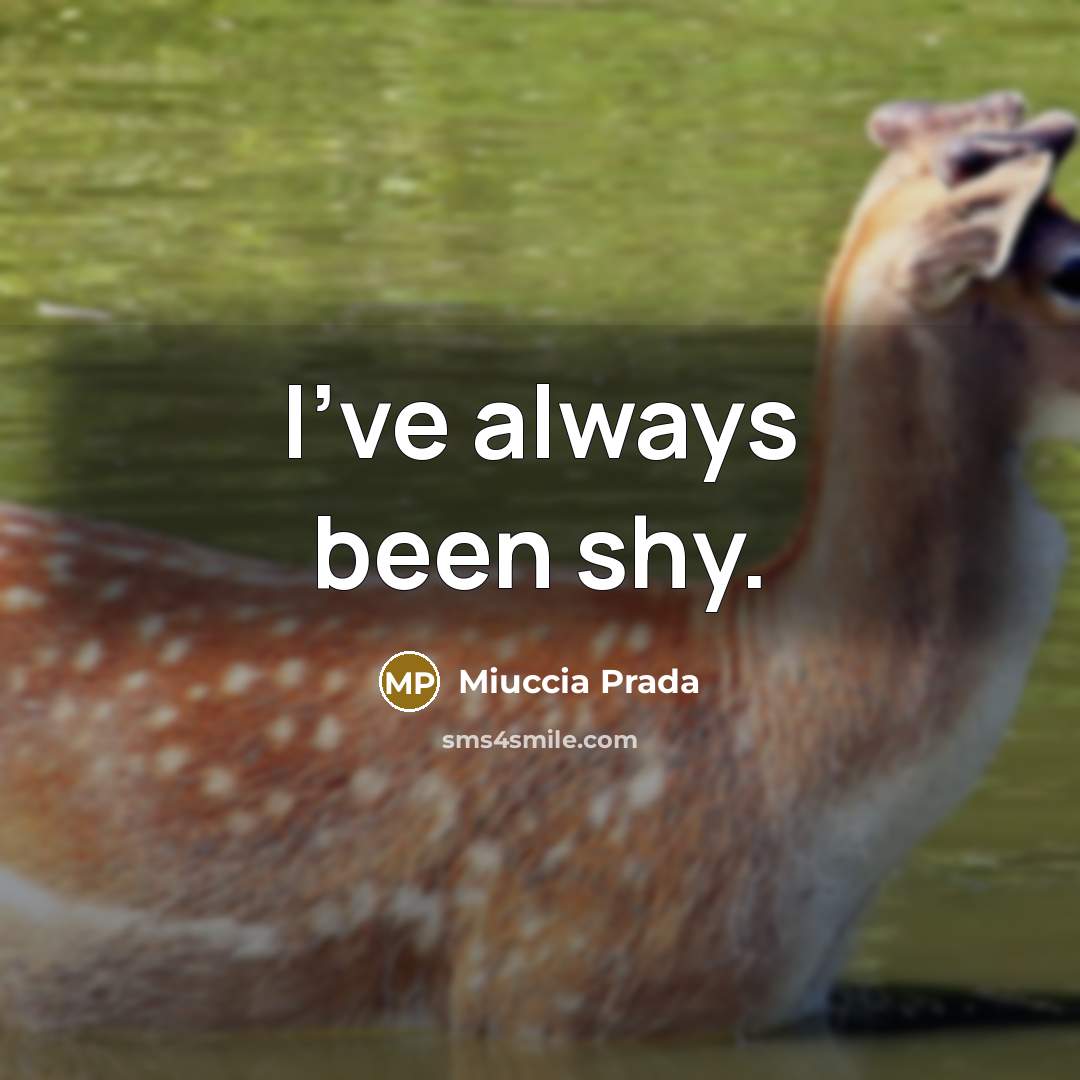 “I've always been shy.…” quote by Miuccia Prada