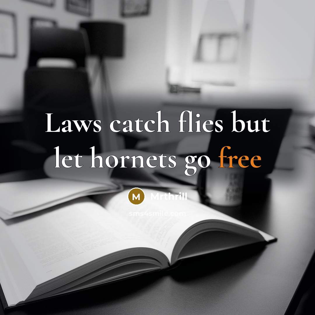 “Laws catch flies but let hornets go free…” quote by Mrthrill