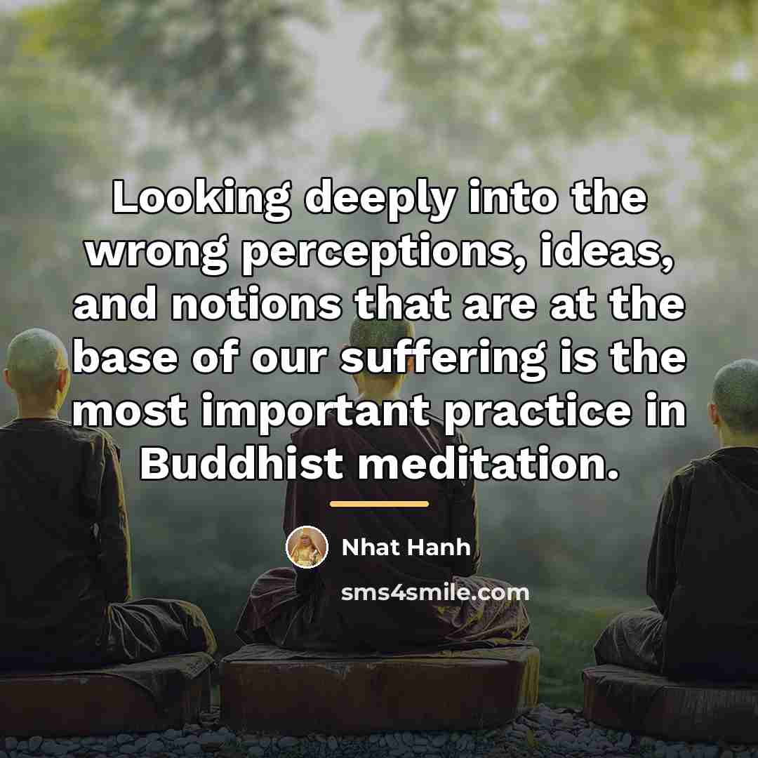 “Looking deeply into the wrong perceptions, ideas, and notions that…” quote by Nhat Hanh