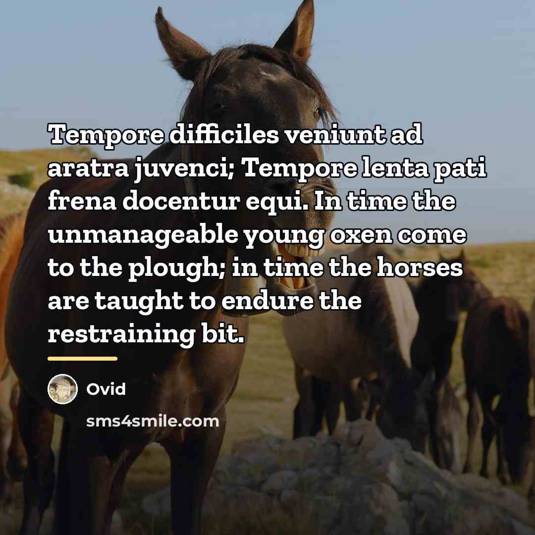 “Tempore difficiles veniunt ad aratra juvenci; Tempore lenta pati frena…” quote by Ovid
