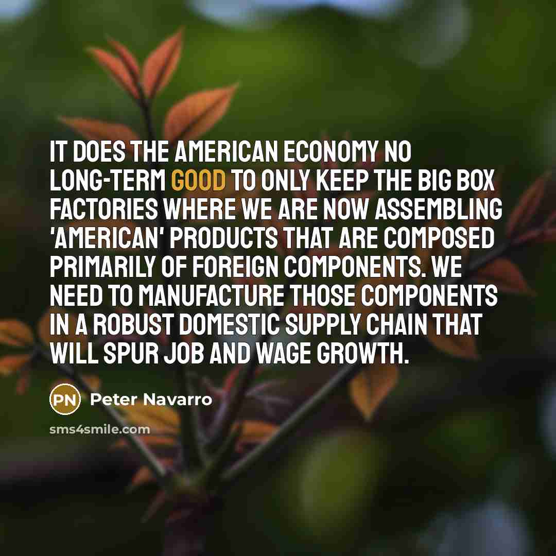“It does the American economy no long-term good to only…” quote by Peter Navarro