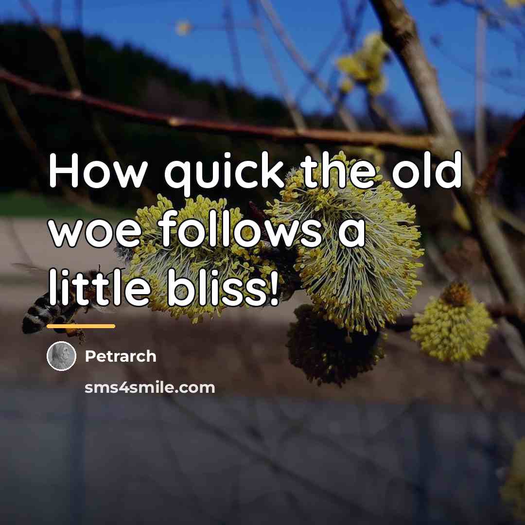“How quick the old woe follows a little bliss!…” quote by Petrarch