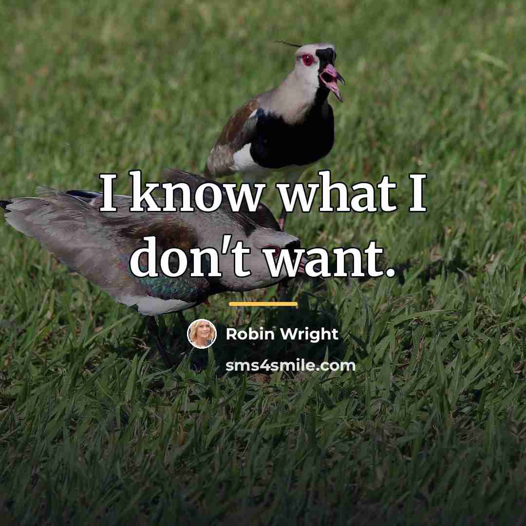 “I know what I don't want.…” quote by Robin Wright