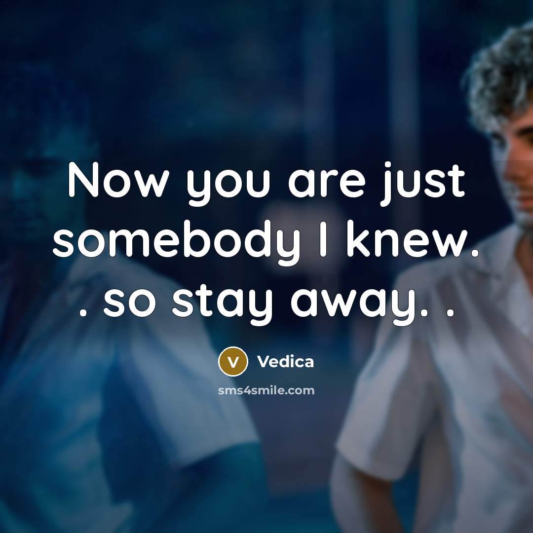 “Now you are just somebody I knew. . so stay…” quote by Vedica
