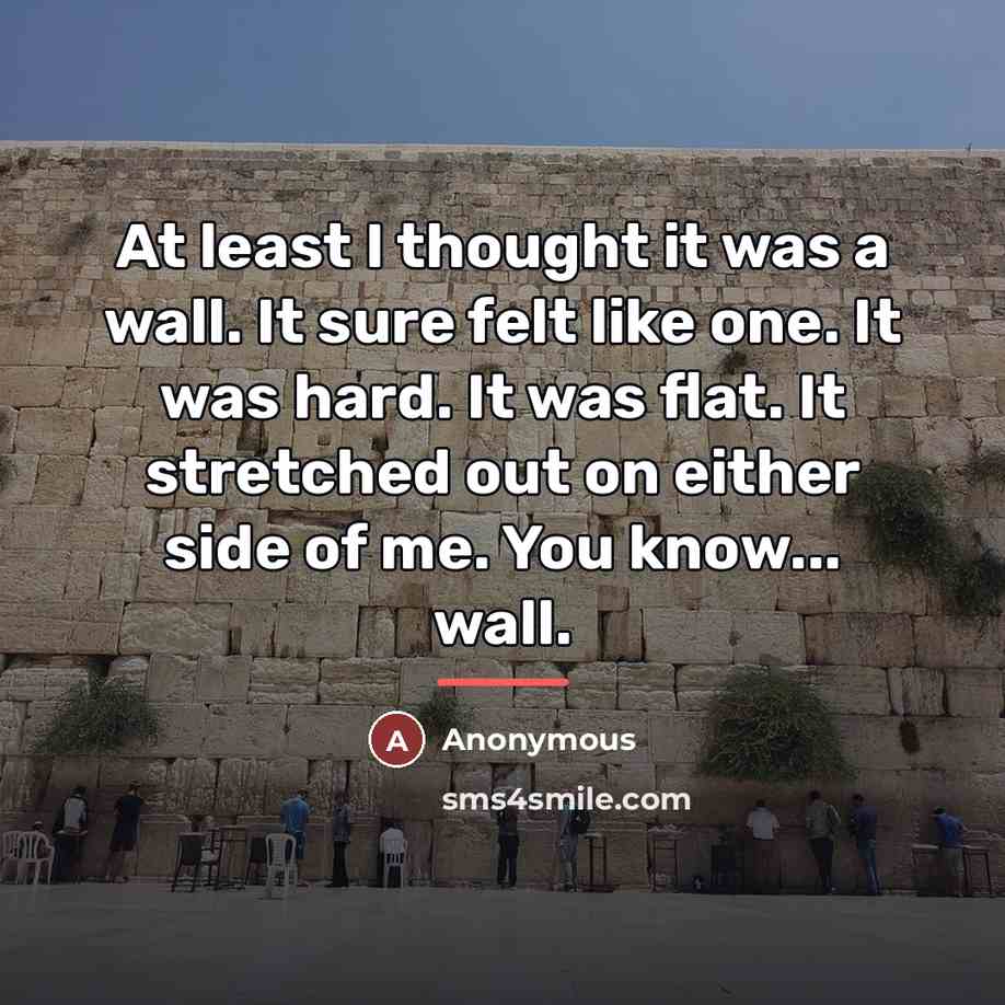 “At least I thought it was a wall. It sure…” quote by Anonymous