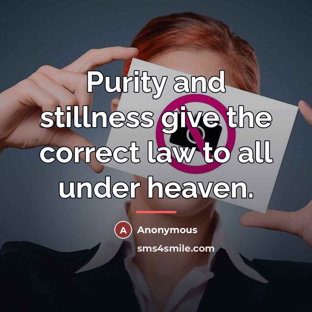 “Purity and stillness give the correct law to all under…” quote by Anonymous