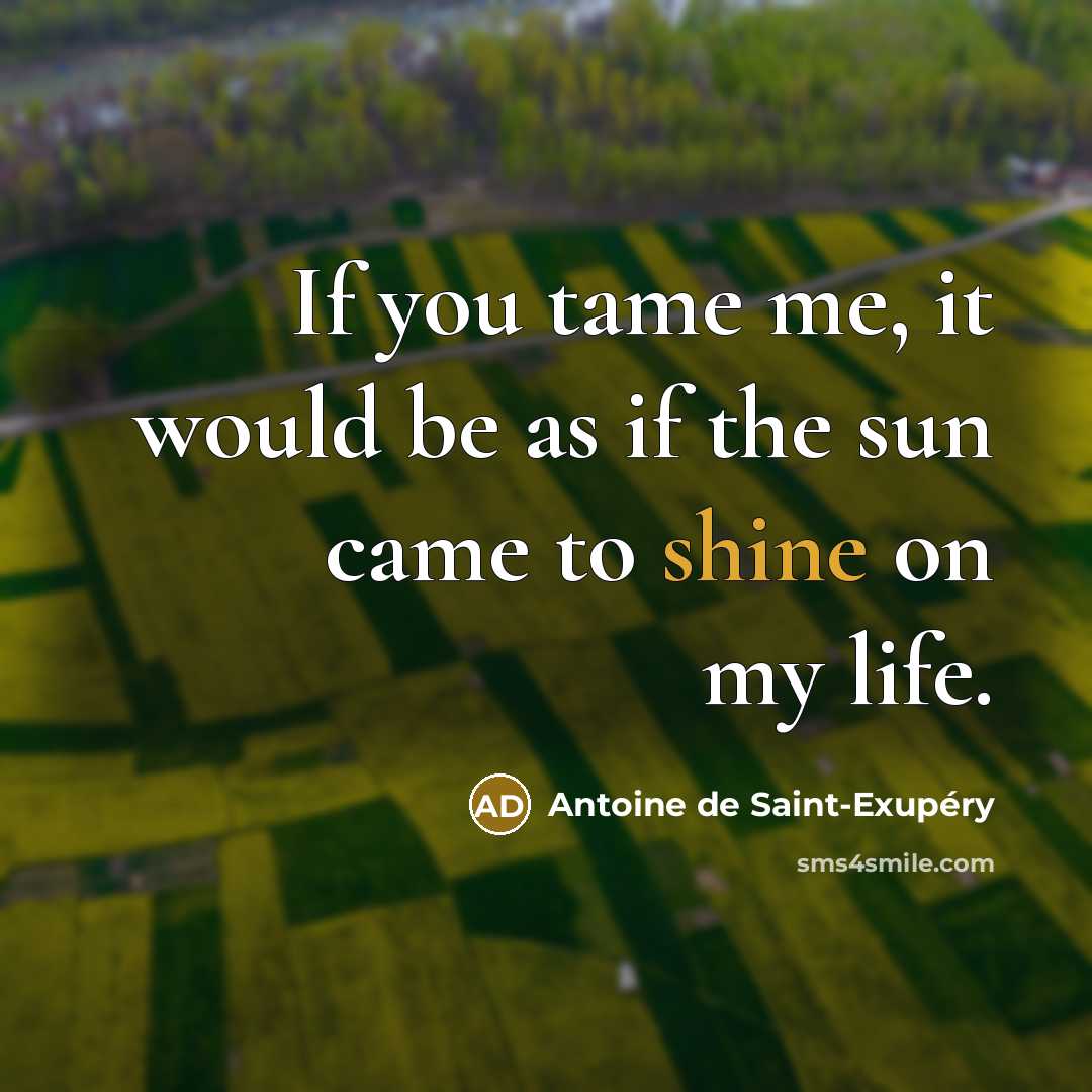 “If you tame me, it would be as if the…” quote by Antoine de Saint-Exupery