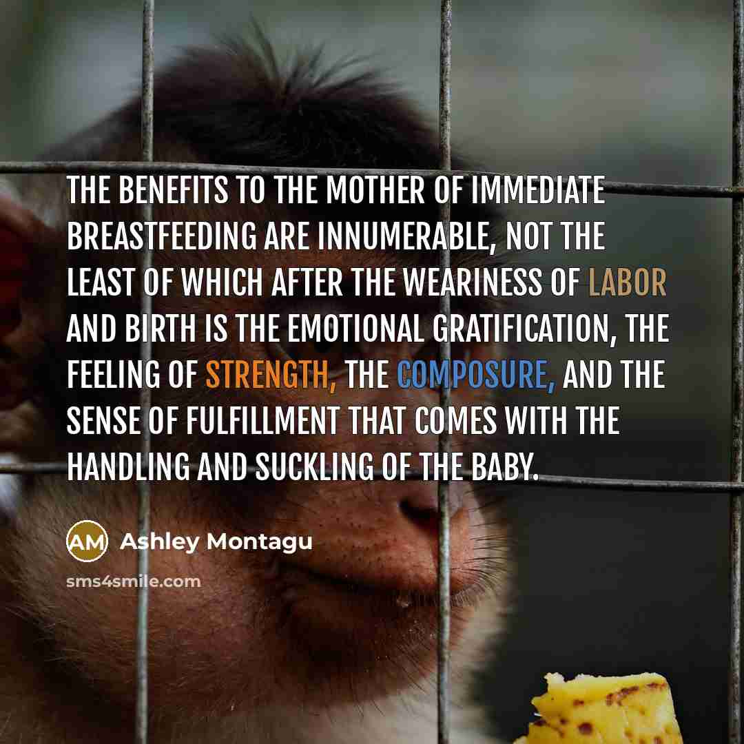 “The benefits to the mother of immediate breastfeeding are innumerable,…” quote by Ashley Montagu