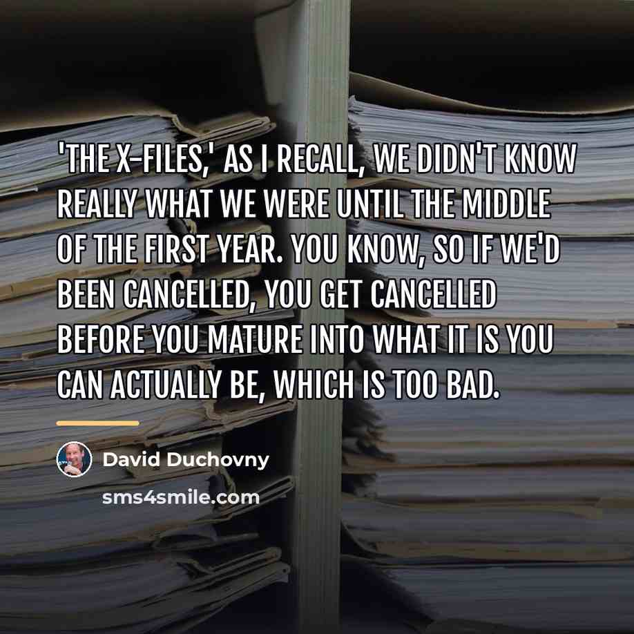 “'The X-Files,' as I recall, we didn't know really what…” quote by David Duchovny