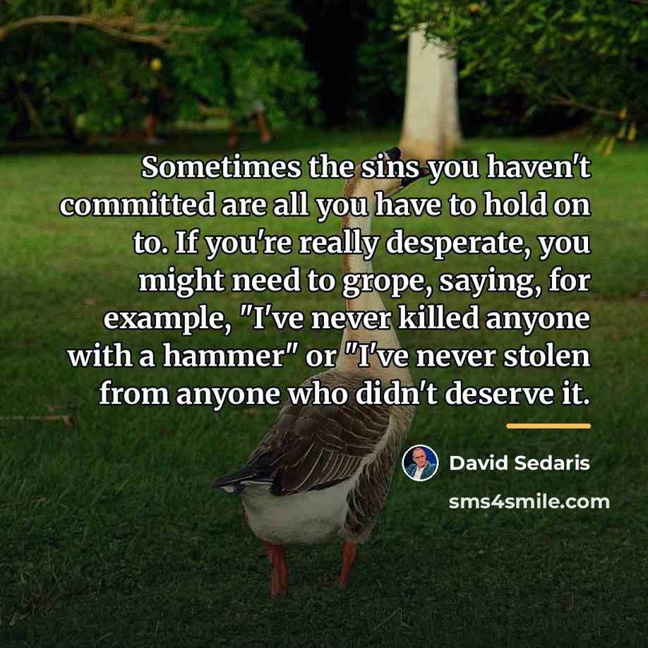 “Sometimes the sins you haven't committed are all you have…” quote by David Sedaris