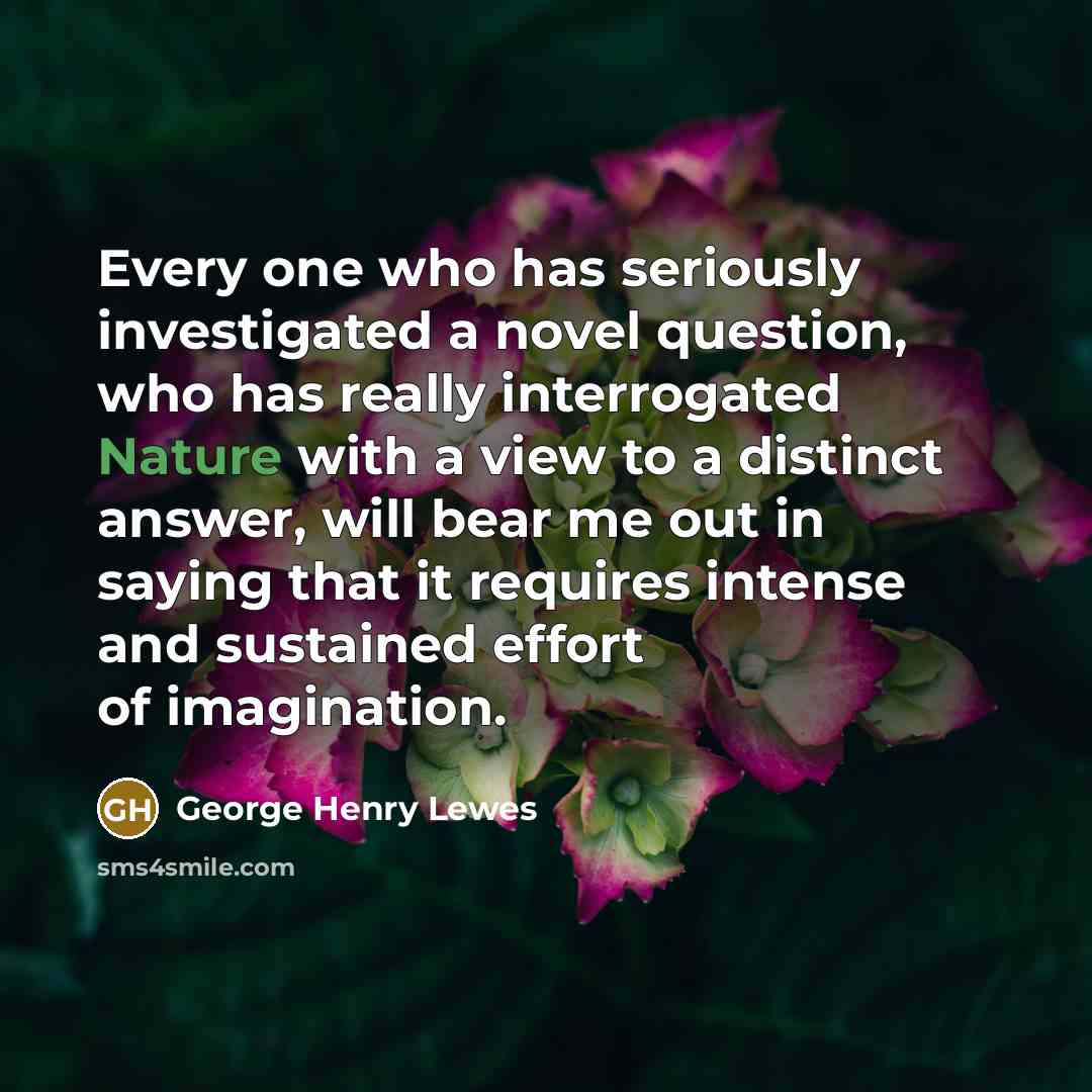 “Every one who has seriously investigated a novel question, who…” quote by George Henry Lewes