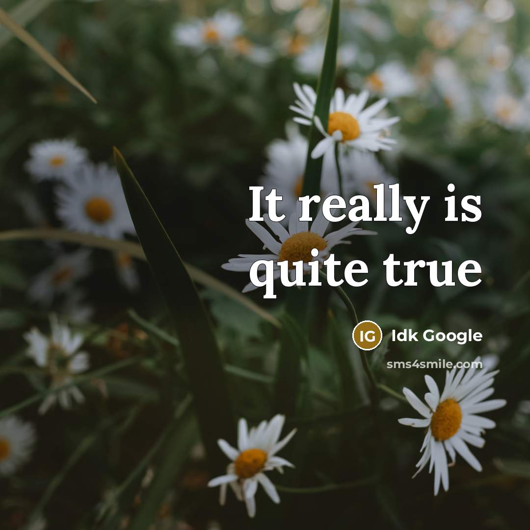 “It really is quite true…” quote by Idk Google