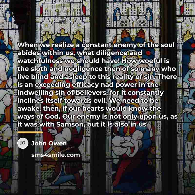 “When we realize a constant enemy of the soul abides…” quote by John Owen