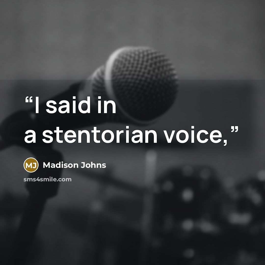 “I said in a stentorian voice,” quote by Madison Johns