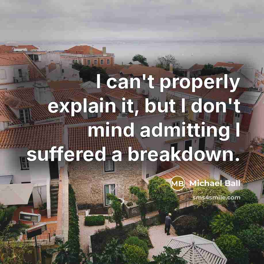 “I can't properly explain it, but I don't mind admitting…” quote by Michael Ball