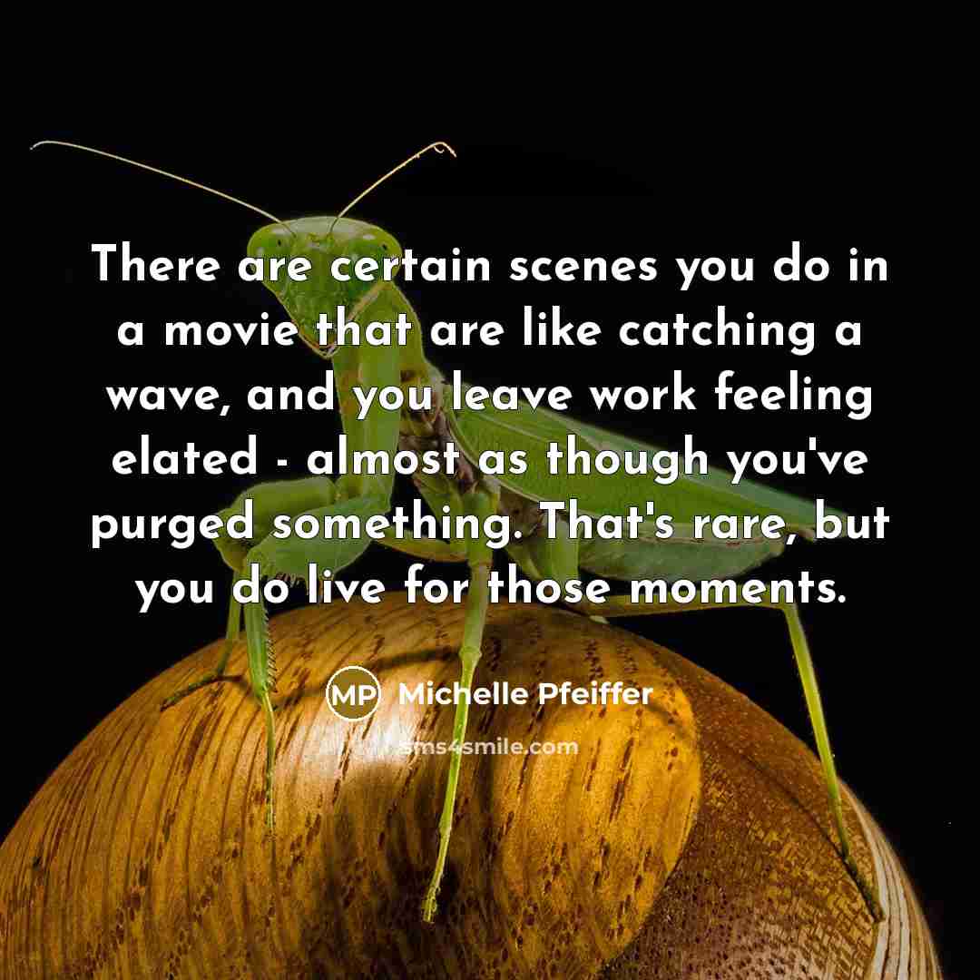 “There are certain scenes you do in a movie that…” quote by Michelle Pfeiffer