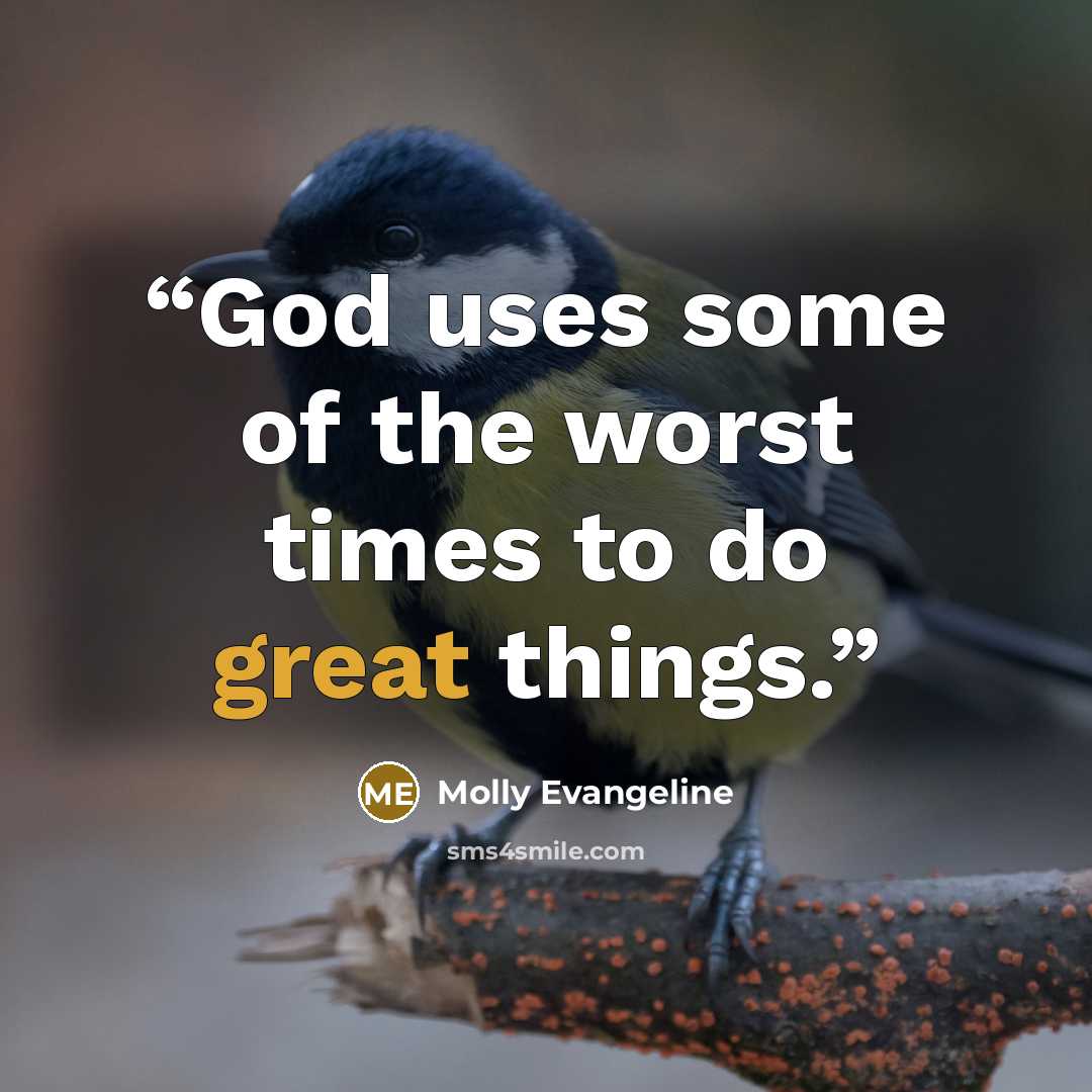“God uses some of the worst times to do great things.” quote by Molly Evangeline