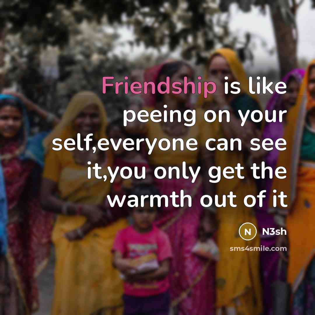 “Friendship is like peeing on your self,everyone can see it,you only get the warmth out of it” quote by N3sh