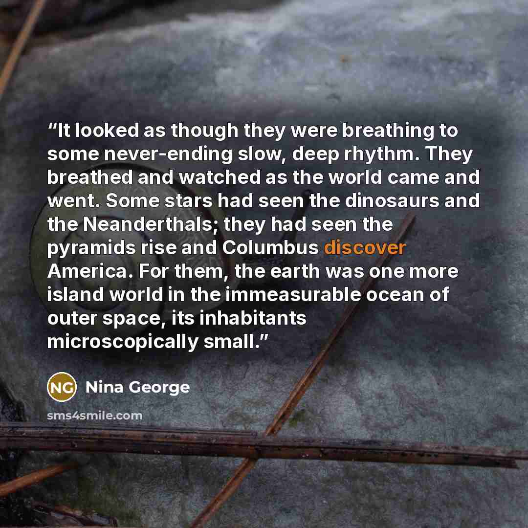 “It looked as though they were breathing to some never-ending slow, deep rhythm. They breathed and watched as the world came and went. Some stars had seen the dinosaurs and the Neanderthals; they had seen the pyramids rise and Columbus discover America. For them, the earth was one more island world…” quote by Nina George