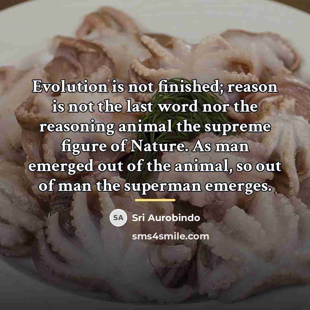 “Evolution is not finished; reason is not the last word…” quote by Sri Aurobindo