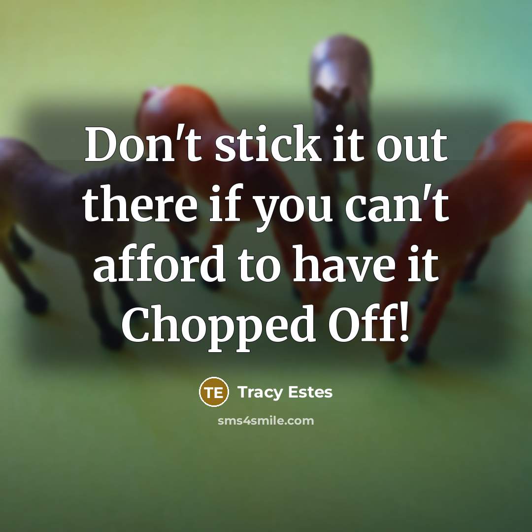 “Don't stick it out there if you can't afford to…” quote by Tracy Estes