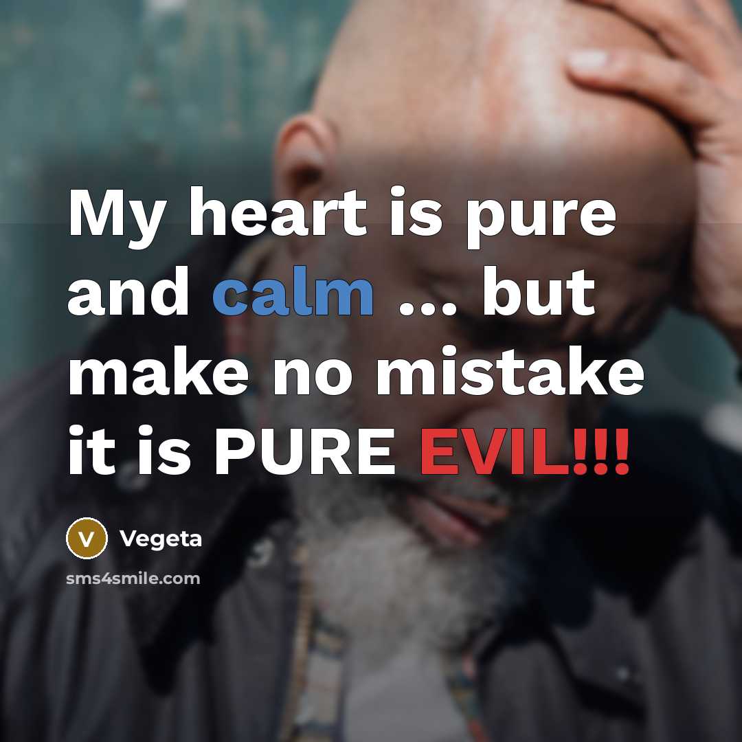 “My heart is pure and calm … but make no mistake it is PURE EVIL!!!” quote by Vegeta