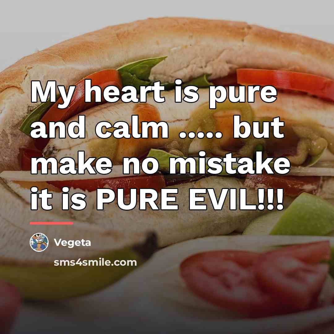 “My heart is pure and calm ..... but make no…” quote by Vegeta