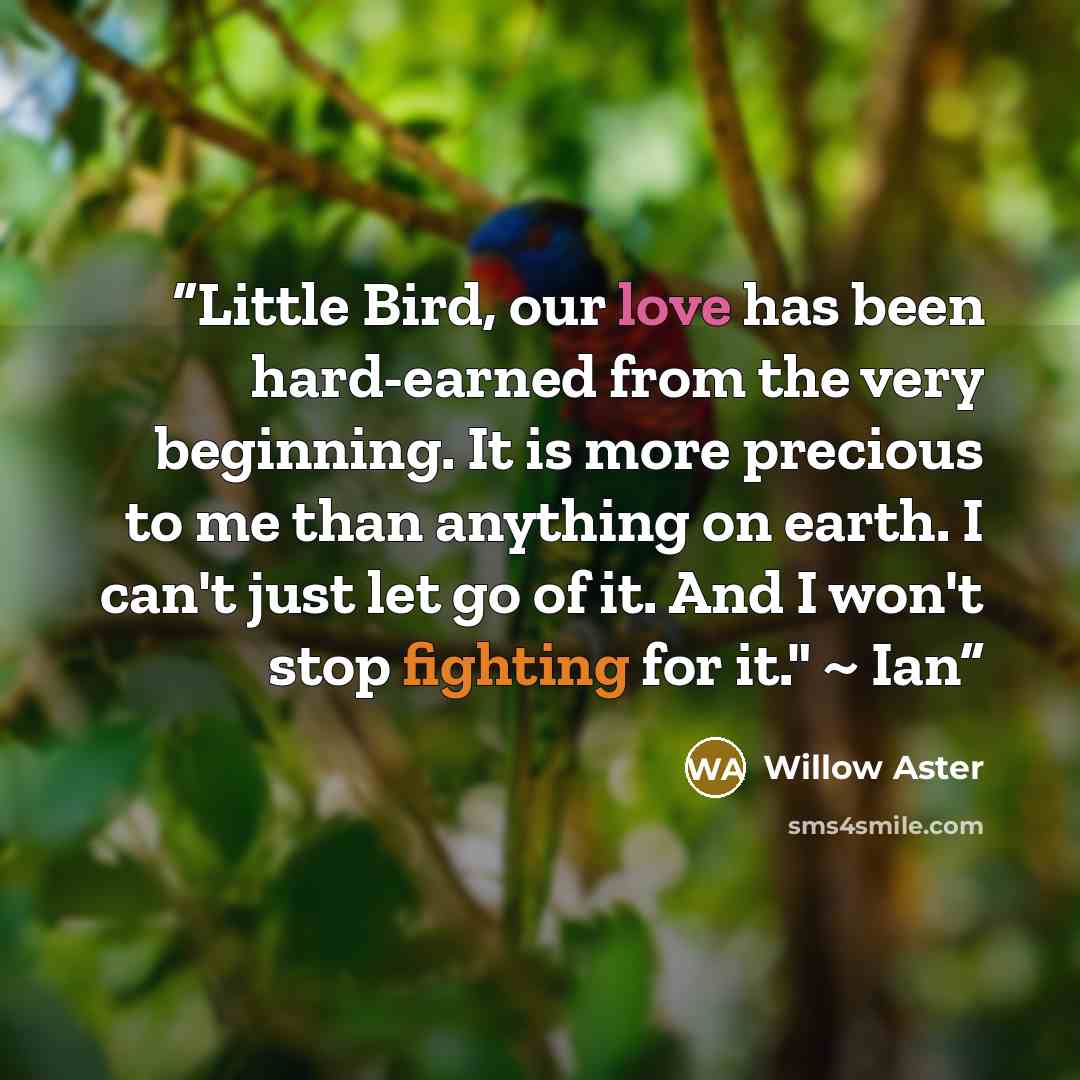“Little Bird, our love has been hard-earned from the very beginning. It is more precious to me than anything on earth. I can't just let go of it. And I won't stop fighting for it." ~ Ian” quote by Willow Aster