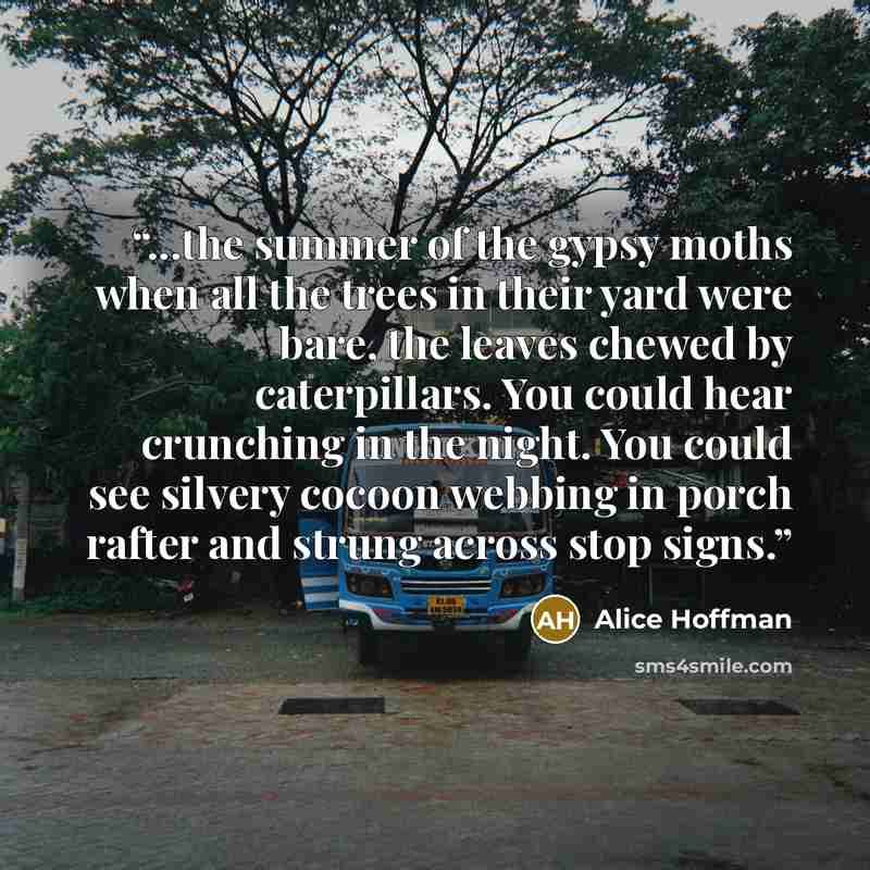 “...the summer of the gypsy moths when all the trees in their yard were bare, the leaves chewed by caterpillars. You could hear crunching in the night. You could see silvery cocoon webbing in porch rafter and strung across stop signs.” quote by Alice Hoffman