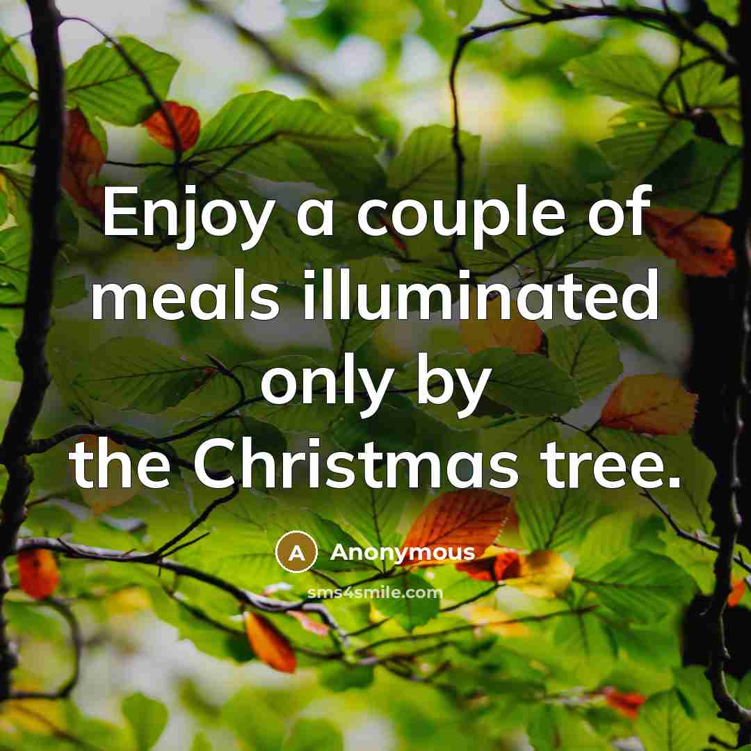 “Enjoy a couple of meals illuminated only by the Christmas…” quote by Anonymous