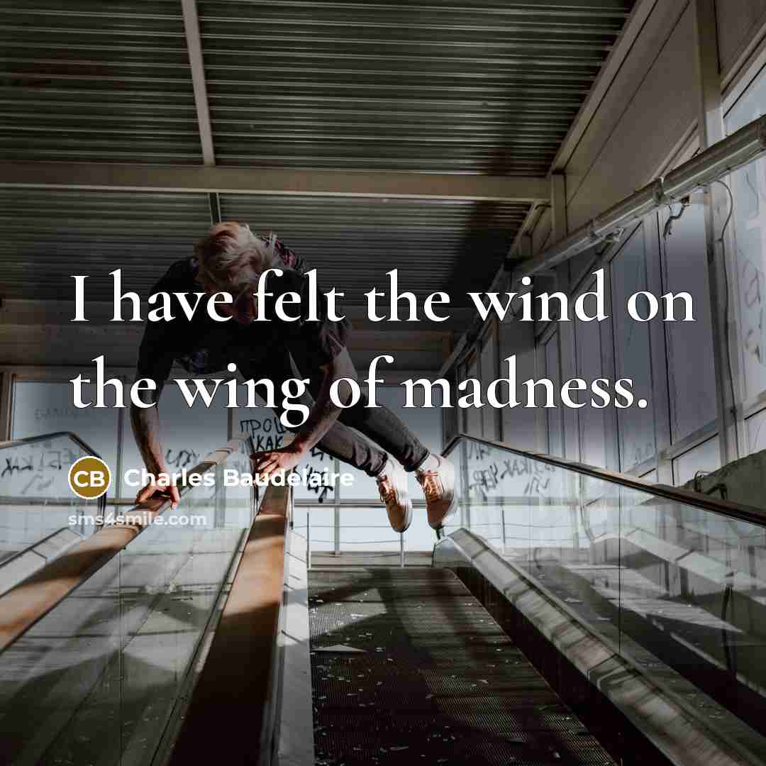 “I have felt the wind on the wing of madness.…” quote by Charles Baudelaire