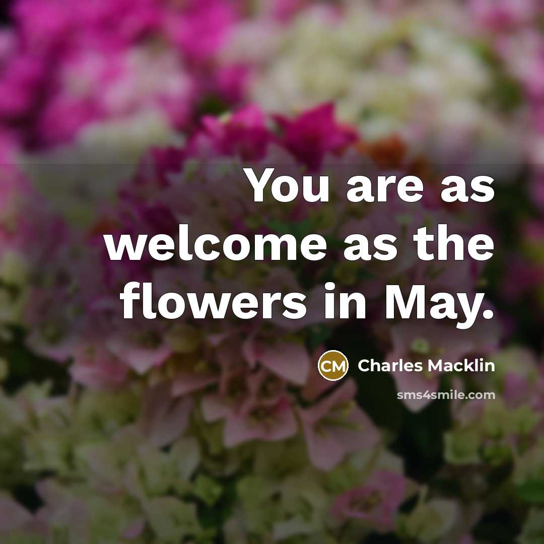 “You are as welcome as the flowers in May.…” quote by Charles Macklin
