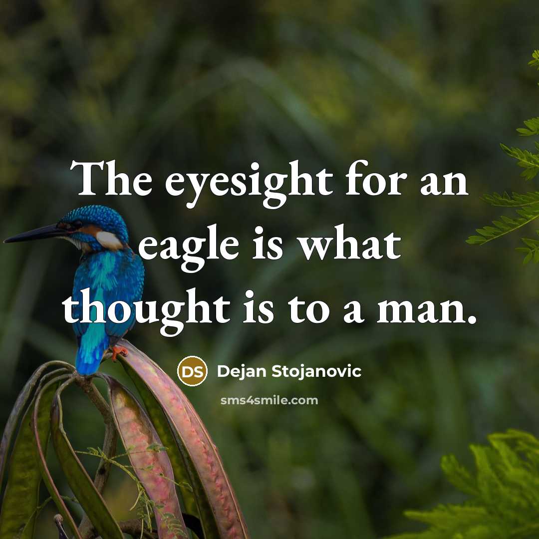 “The eyesight for an eagle is what thought is to a man.” quote by Dejan Stojanovic