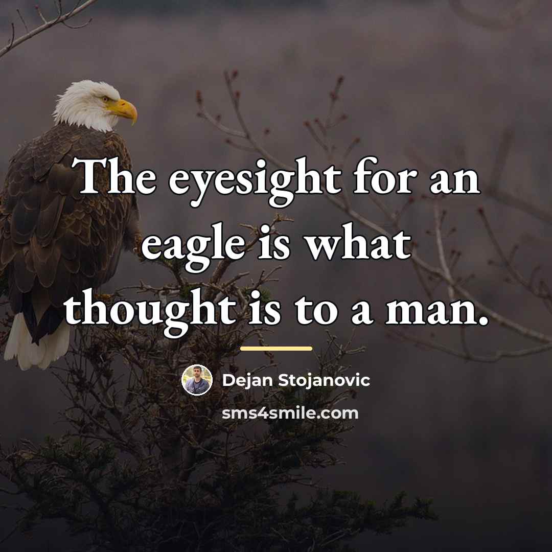 “The eyesight for an eagle is what thought is to…” quote by Dejan Stojanovic