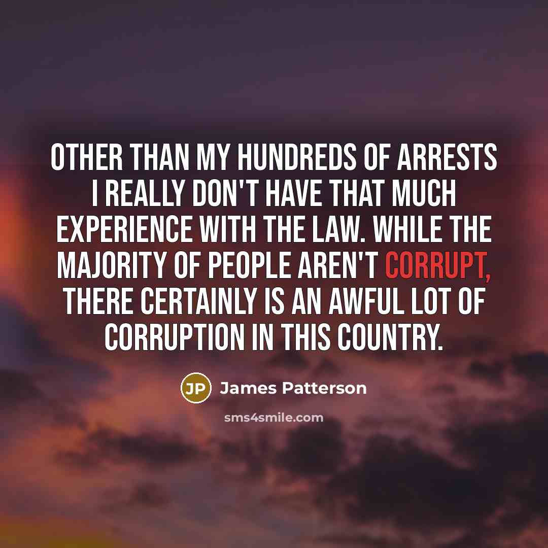 “Other than my hundreds of arrests I really don't have…” quote by James Patterson