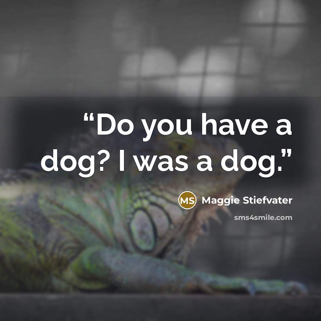 “Do you have a dog? I was a dog.” quote by Maggie Stiefvater