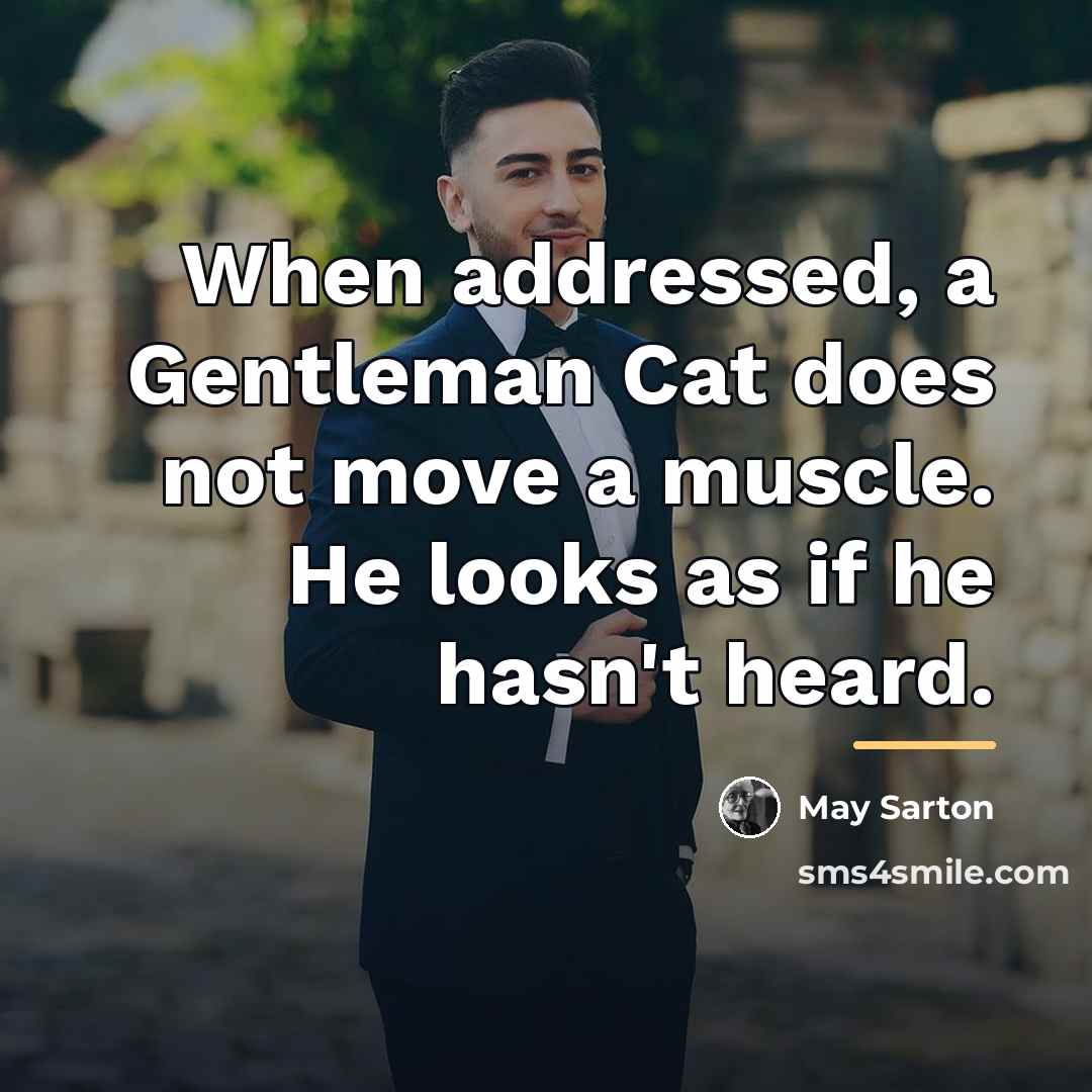 “When addressed, a Gentleman Cat does not move a muscle.…” quote by May Sarton