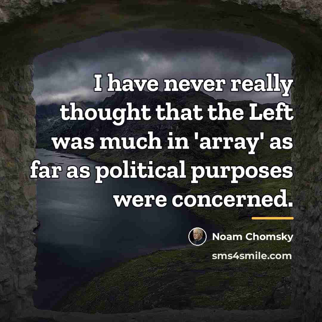“I have never really thought that the Left was much…” quote by Noam Chomsky