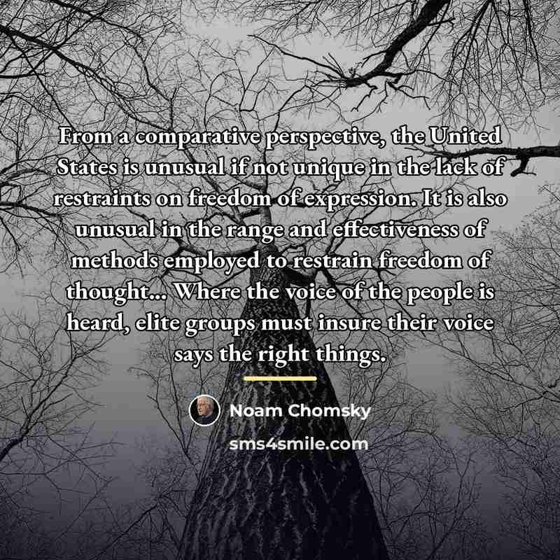 “From a comparative perspective, the United States is unusual if…” quote by Noam Chomsky