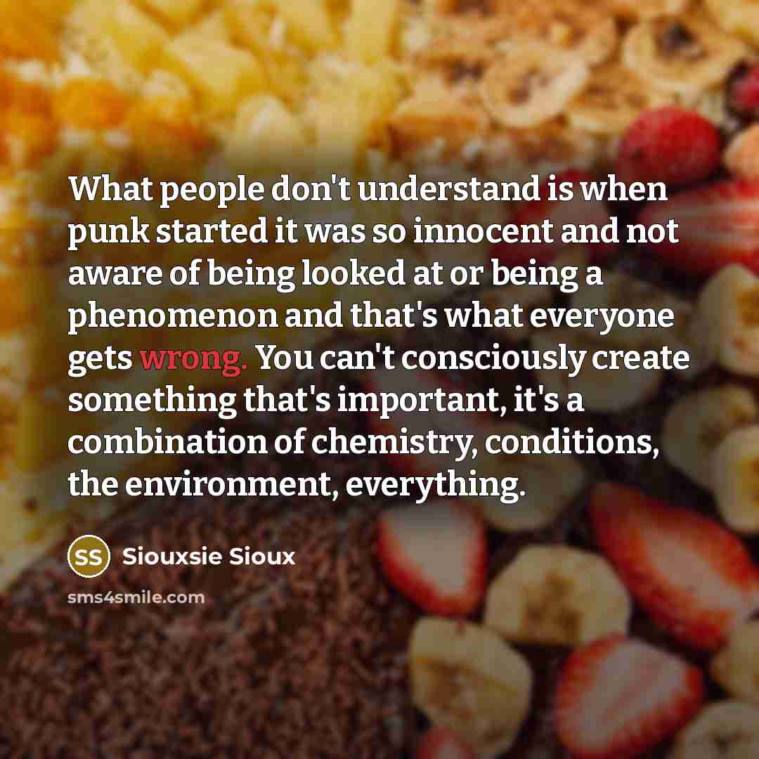 “What people don't understand is when punk started it was…” quote by Siouxsie Sioux