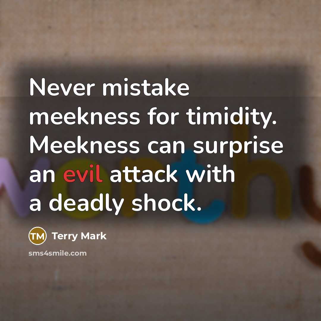 “Never mistake meekness for timidity. Meekness can surprise an evil…” quote by Terry Mark