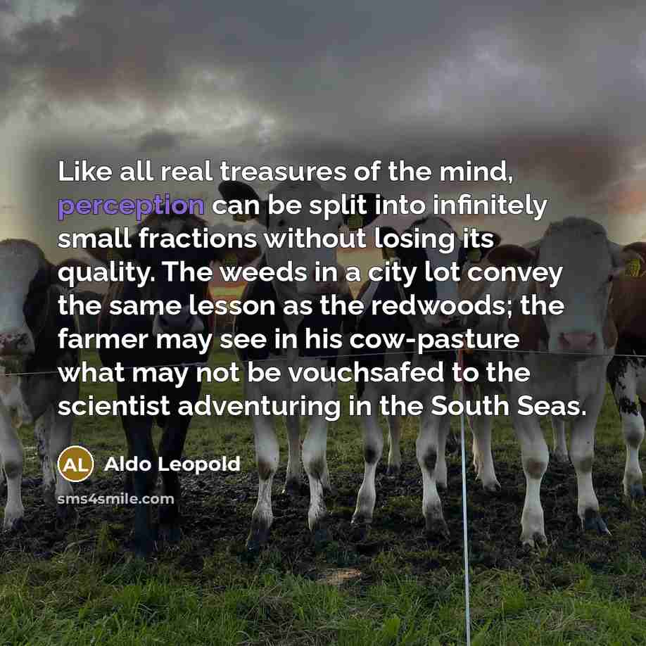 “Like all real treasures of the mind, perception can be…” quote by Aldo Leopold