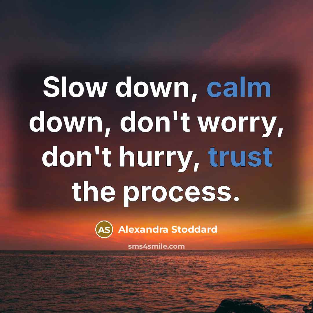 “Slow down, calm down, don't worry, don't hurry, trust the process.” quote by Alexandra Stoddard