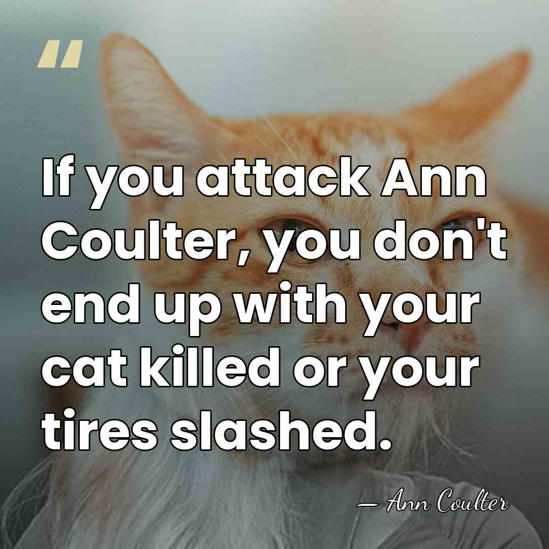 If you attack Ann Coulter, you don't end up with your cat&hellip; - Ann Coulter
