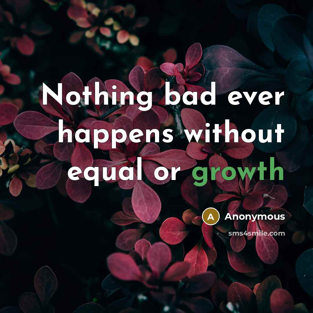 “Nothing bad ever happens without equal or growth” quote by Anonymous