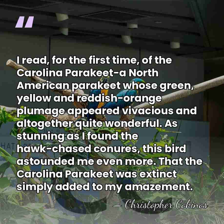 I read, for the first time, of the Carolina Parakeet-a North American&hellip; - Christopher Cokinos