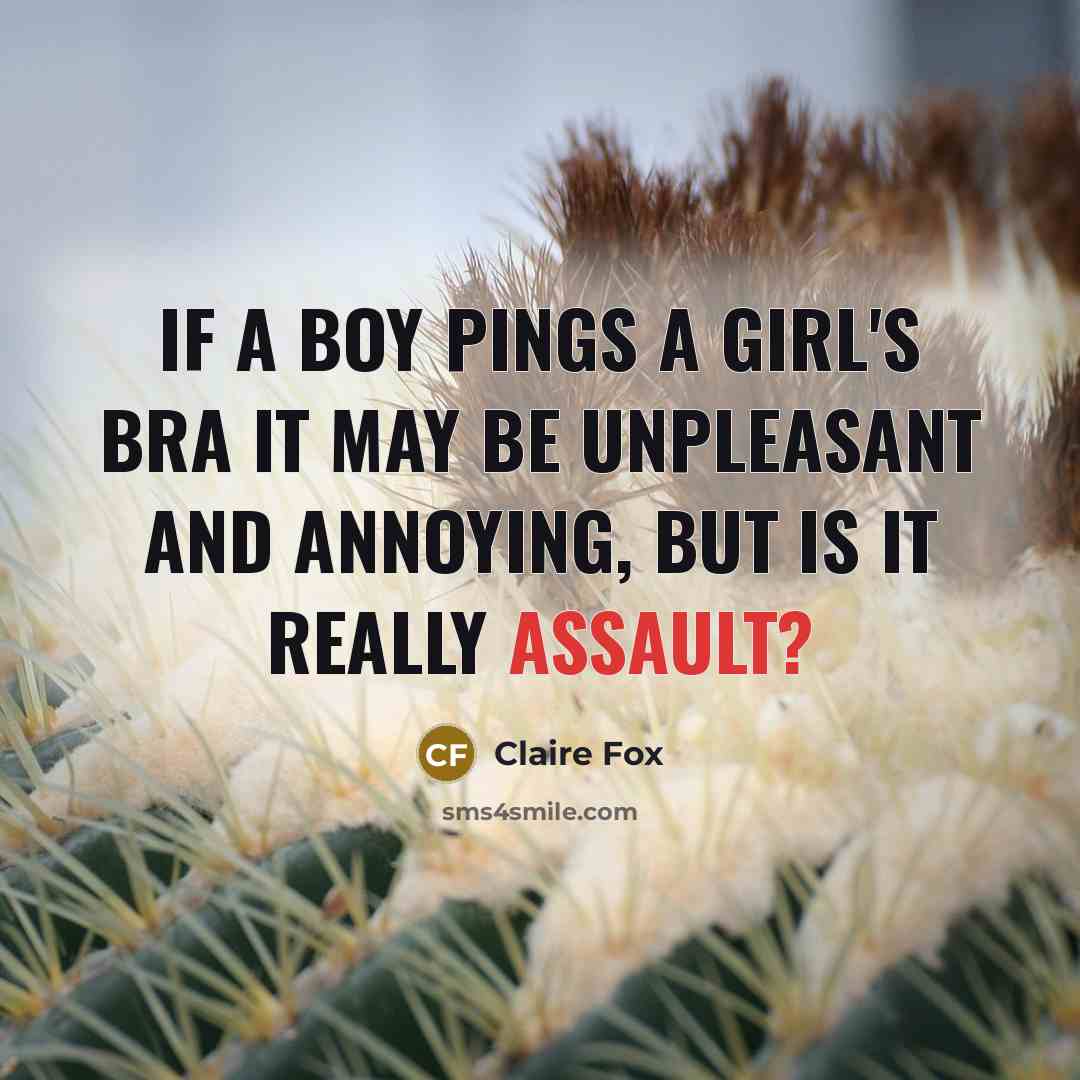 “If a boy pings a girl's bra it may be…” quote by Claire Fox