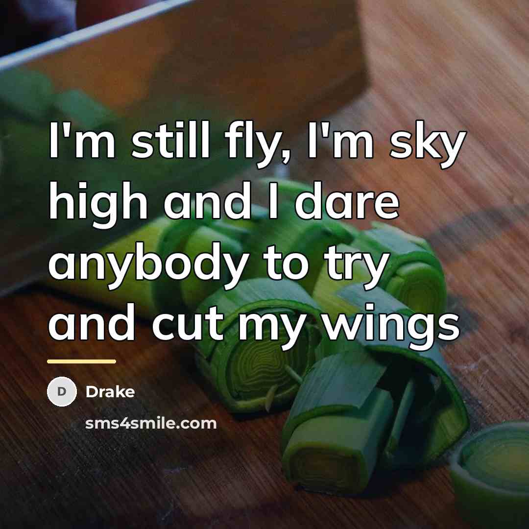 “I'm still fly, I'm sky high and I dare anybody…” quote by Drake