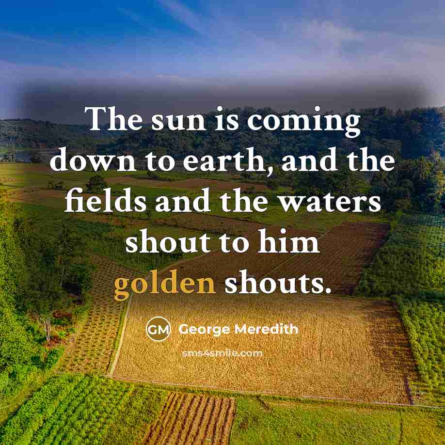 “The sun is coming down to earth, and the fields…” quote by George Meredith