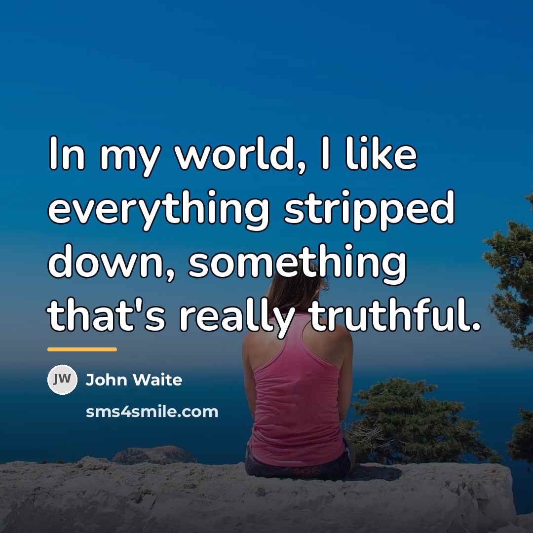 “In my world, I like everything stripped down, something that's…” quote by John Waite